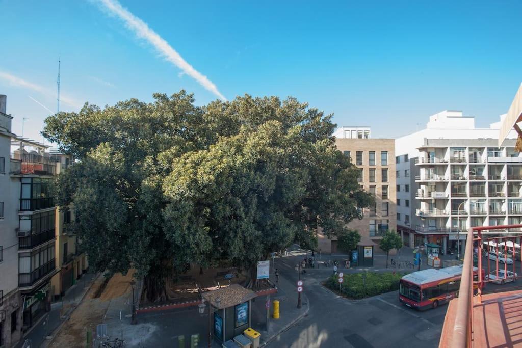 Penthouse!!! Center Of Seville!!! 2 Bedroom + 2 Bath!!! 외부 사진